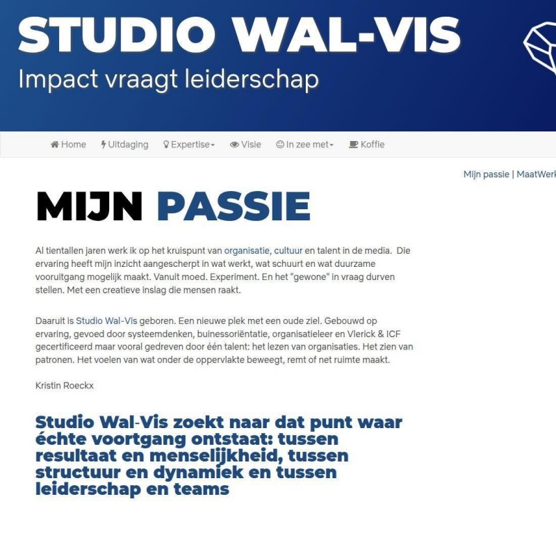 Studio Wal-Vis 2 - Make IT Work 